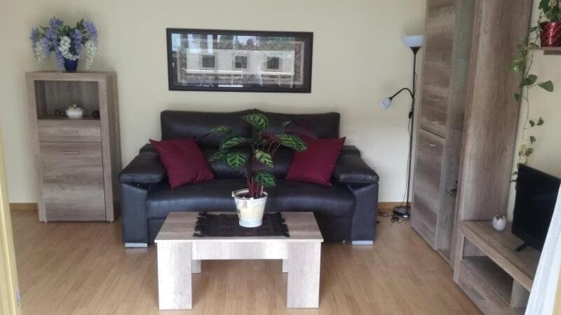 100M2 Big Apartment Private Garden And Pool/ 100M2 Gran Apartamento Jardin Privado Y Piscina / Acogedor Apartamento En Zona Tranquila Y Agradable 坎布里尔斯 外观 照片
